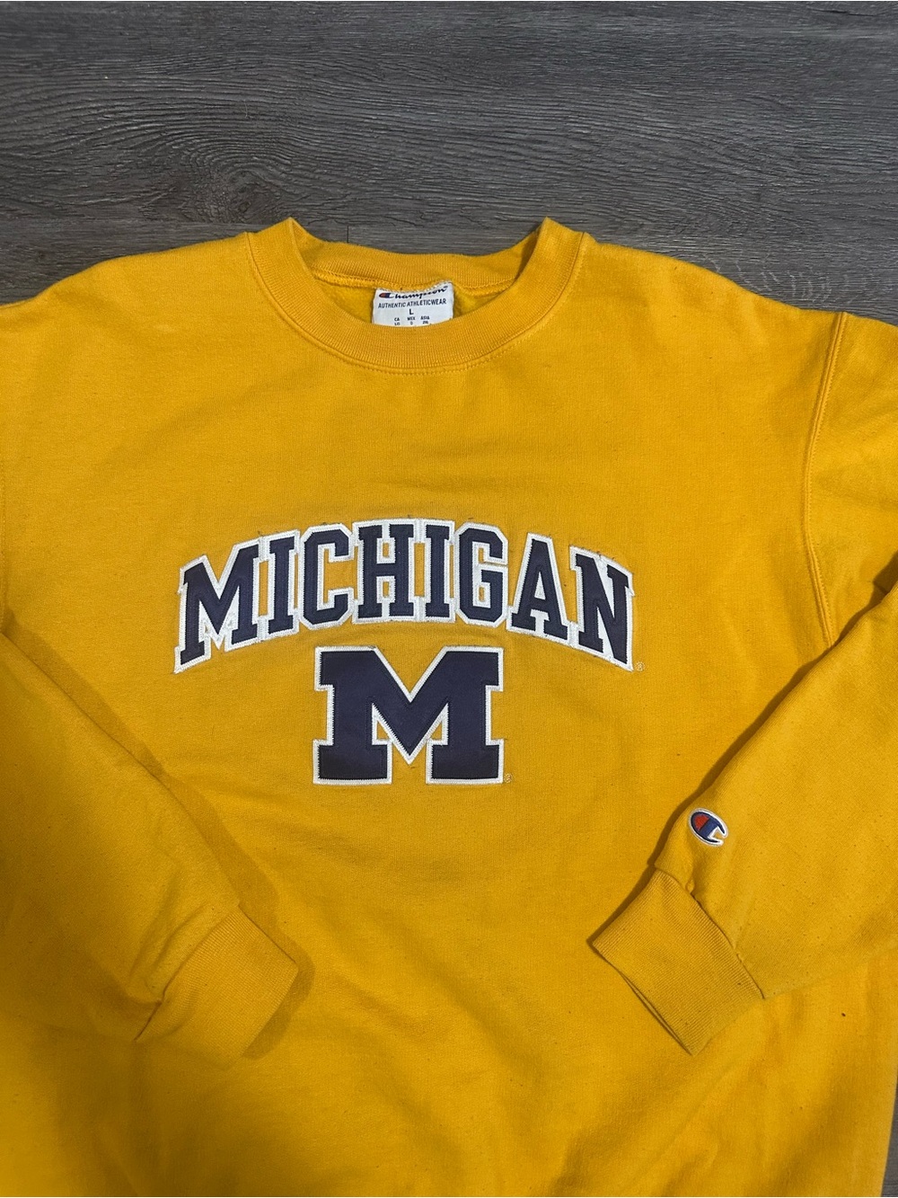Michigan wolverines Champion Pullover Sweatshirt - Picture 2 of 8